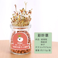 Бутылка, маленький горшок