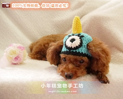 Маленький новогодний торт Эксклюзивный питомец/плюшевый VIP Dog, Dog, Cat Cat Alasmly Модельная модель шерсти шерсти для монстра ручной работы ручной работы