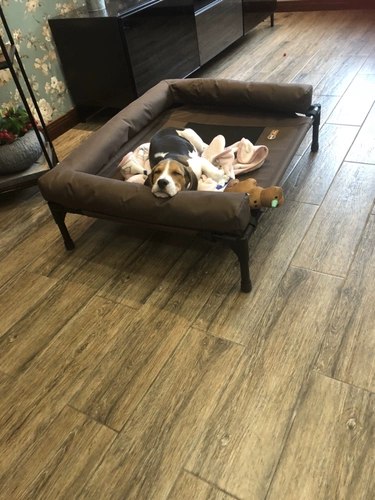 Американский метод влаги K & H -защищенная доба для собак, сеть Corchi Setwork может быть погружение забор, гнездо Shiba Inu, военная кровать