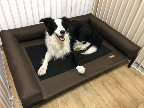 Американский метод влаги K & H -защищенная доба для собак, сеть Corchi Setwork может быть погружение забор, гнездо Shiba Inu, военная кровать