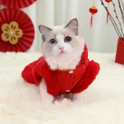 Зимние щенки домашних животных в зимнем утолщенном хлопковом пальто плюшевая Померанский медвежь