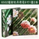 6502 лазерная модель Lotus Peony 1 Set 2 книги
