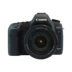 Cho thuê máy ảnh DSLR Canon 5D2 5d2 24-105 Cho thuê tiền gửi miễn phí Quảng Châu Bắc Kinh cho thuê - SLR kỹ thuật số chuyên nghiệp