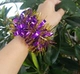 Dragon Ball Purple 1