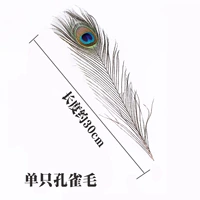 Одиночные перья павли