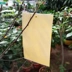 Hoa gia đình làm vườn côn trùng chống côn trùng cung cấp hai mặt dính côn trùng giấy chống côn trùng màu vàng dính côn trùng để gửi đai buộc bẫy bẫy bảng dính - Nguồn cung cấp vườn