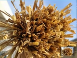 Университетское студенческое предпринимательство семейное городское городское городское посещение Студенты колледжа проводят экспериментирование с плоской пшеницей и пшеничной соломой 250G