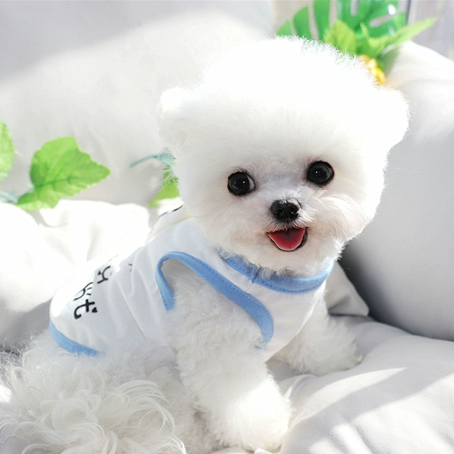 Одежда для собак с бутылочками в летнем кошачьи