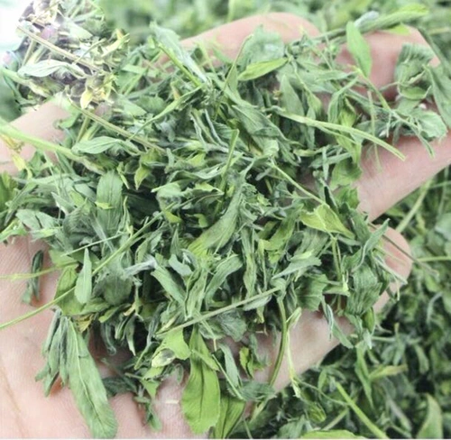 Кроличье тоторо Голландская свинина, крысы Долустктона Пургурм, фиолетовый фиолетовый цветок 苜蓿 苜蓿 苜蓿 苜蓿 苜蓿 苜蓿 1 кг/1 коробка