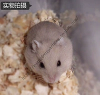 Чай с молоком