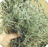 БЕСПЛАТНАЯ ДОСТАВКА 2022 Новое высокое качество кролики Timore 500G Dished Trass, морские свинки, трава голландская свиньи питайте