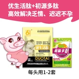 Беременная сови здоровье до отправки Кан Кан Прочинка, запор пищи из свиной корм