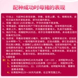 Сеяно -размноженные лекарства приманка овуляция способствует послеродовой кормовой кормовой добавок для беременных для беременных свиней.