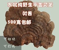 Гора Чанбай дикая ганодерма Lucidum Lid Ganoderma Tree Authentic 500 граммов натуральных ветвей гвозди большого нарезанного блок -нарезанного порошка