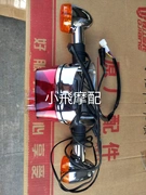 Tàu tuần dương nguyên bản Qianjiang Kaiwei QJ250-L-J đèn hậu lắp ráp đèn hậu (có đèn báo rẽ) - Đèn xe máy