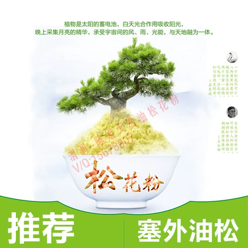 Сестра Чен рекомендует сатсусака соевое молоко порошок молока, стена разбитая масло сосны+северо -восточная африканская перенос