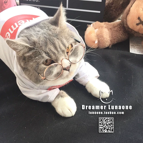 Lunaone Pet Glasses Кот солнцезащитные очки для собак солнцезащитные очки, солнцезащитные очки, короткая ткань -марионетка Тедди персонализированные кошачьи бокалы тренд