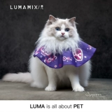 Lumamix Box, Four Seasons, тонкий и легкий оригинальный кот милый рта полотенце для любимых полотенец, Elizabeth Circle Reador