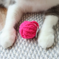 Bynch шарики случайно случайные