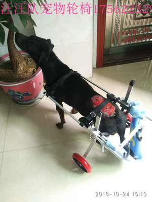 Собачья инвалидная коляска