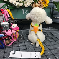 [Тип] морковь