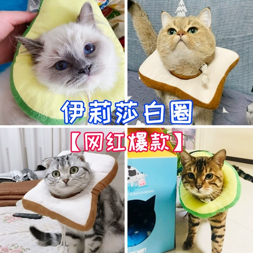Элизабет Круг Кот Круг Круг ПЭТ Шея стыд стыд круговой кошачий вода вода шарф красавица Круг Красный Тост Авокадо