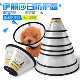 Элизабет Круг Корт и собака Маленькая защита за завтрак борьба с позором Круг Корт кот Большой защита питомца Круг шеи