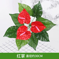 Красная ладонь