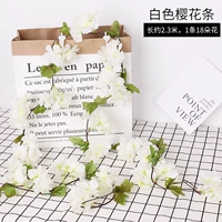 Белый сакура Тенг 1