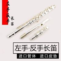 Слева -Специальный флейт -инструмент флейты Специальный прибор с 16 -отверстий с серебристым серебряным серебряным серебром серебра