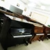 Cho thuê đàn piano Thâm Quyến Kho Đông Quan Yamaha Kawaii Yingchang Sanyi Pearl River Người lớn cho thuê dương cầm