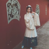 Chi Xia: оригинальная улучшенная система Hanfu Ming's Song's Song Hanke создала плащ и юбку с лапшой лидера пять метров, женский костюм ханфу