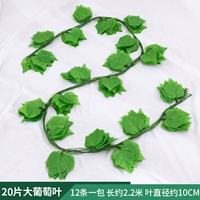 20 листьев большие виноградные листья 1 упаковка [12 штук]