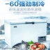 Tủ đông lạnh nhiệt độ thấp - 60 độ 380 lít cá ngừ đông lạnh bảo quản đông lạnh thương mại đông lạnh nhanh tủ lạnh lớn