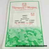 Семена семян цветов*Британская TM*Suihua Mother -In -law na na/Dragon Blast Mother Po na*Синяя страсть