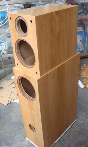 Профессиональный индивидуальный ruizhi audio sp9se disceer Профессиональный верхний и нижний кузов