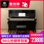 Đàn piano thẳng đứng mới của Carod Carol S23 chấm điểm nhà cấu hình cao cấp chuyên nghiệp chơi đàn piano thương hiệu - dương cầm đàn piano cơ yamaha