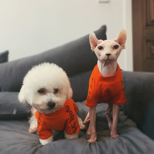 Шнурок-держатель, летний тонкий жилет, дышащая хлопковая футболка