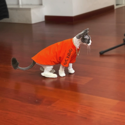 Шнурок-держатель, летний тонкий жилет, дышащая хлопковая футболка