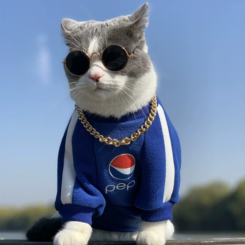 Одежда для домашних кошек Весна и осенняя одежда Противоизлевая воздушная суперструктура, бархатный теплый маленький и средний свитер для собак