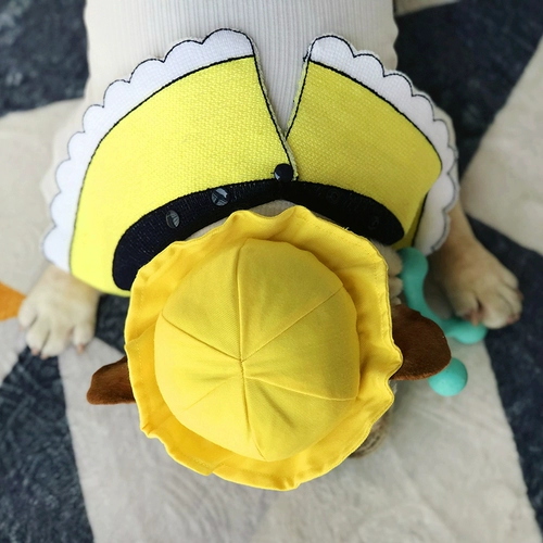 Собака с питомцами маленькая желтая шляпа милая японская детская школа школьная шапка борьба Шиба Ину Сурунорбаги Тедди