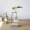 Sáng tạo treo bình thủy tinh cây thủy canh nhỏ phòng tươi trang trí phòng khách cắm hoa bàn xanh thanh container - Trang trí nội thất thiết kế spa mini tại nhà