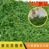 2021 Фиолетовая трава трава трава трава кролика
