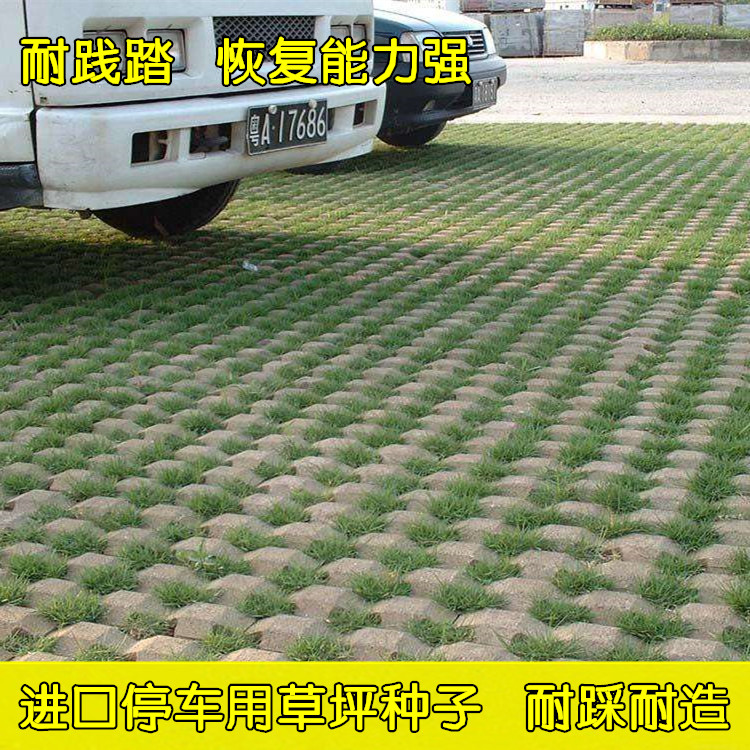 Георешетка газонная (экопарковка). Экопарковка газонная решетка. Покрытие под парковку. Полимерпесчаная газонная решетка. Покрытие под парковку.