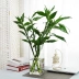 Bình thủy tinh hình chữ nhật tươi trang trí bình hoa thủy tiên thẳng máy tính để bàn ins nhà đơn giản hoa khô xanh - Vase / Bồn hoa & Kệ Vase / Bồn hoa & Kệ