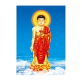 Nanwu amitabha buddha plastic Plastic Portrait Portable Card Bodhisattva Buddha State