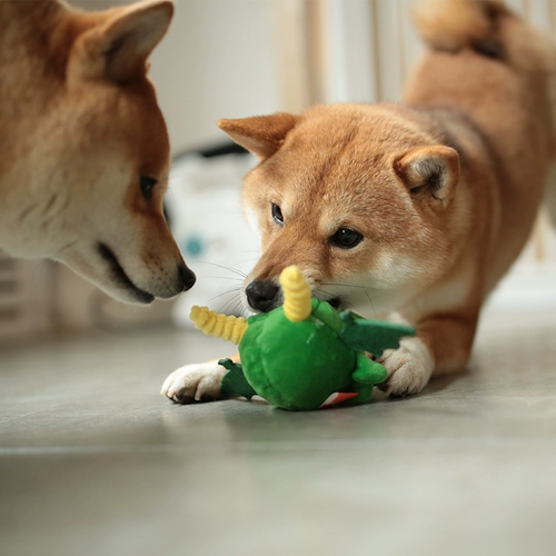 Q-Balls Fairy Tale Story Story Pet Pet Schlush Dog Toys Golden Simply, душные зубы, укус, вентиляция,