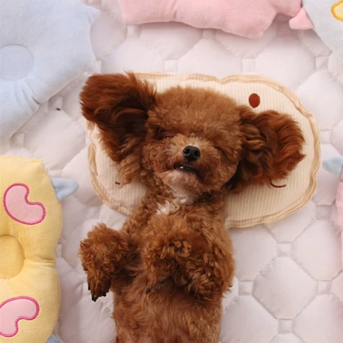 Домашние собаки специально спят маленькие подушки плюшевые щенки corgi dou dou small dog bomei cat biebell продукты