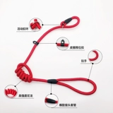 Dog P Цепная gunding ock dog cheange galing dog small medium -sized inu di jin mao p line pet Pavense