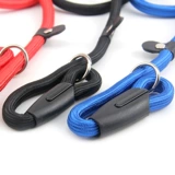 Dog P Цепная gunding ock dog cheange galing dog small medium -sized inu di jin mao p line pet Pavense